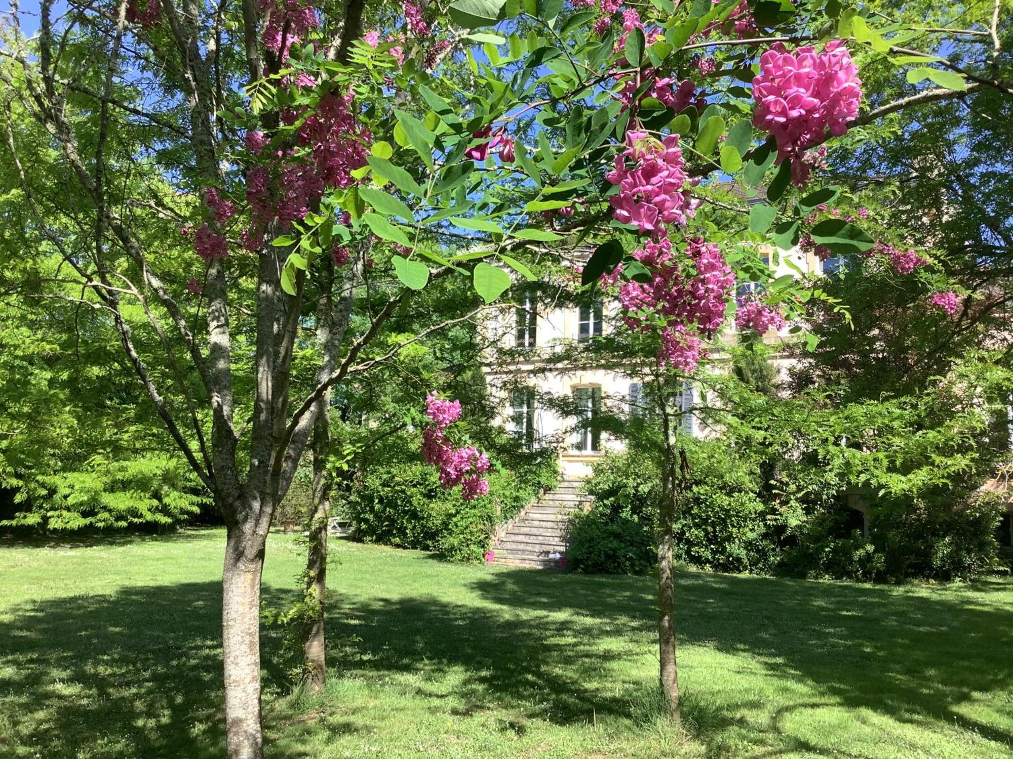 Chateau De Grenier Apartment Saint-Léger Exterior photo